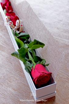 Single Rose Boxed